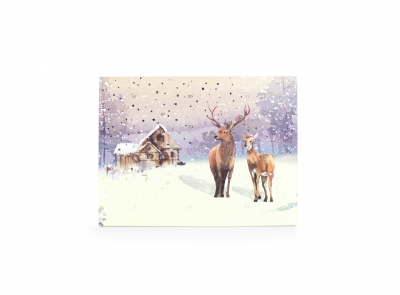 premium deluxe chilli seed advent calendar - deer scene